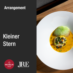 Kleiner Stern